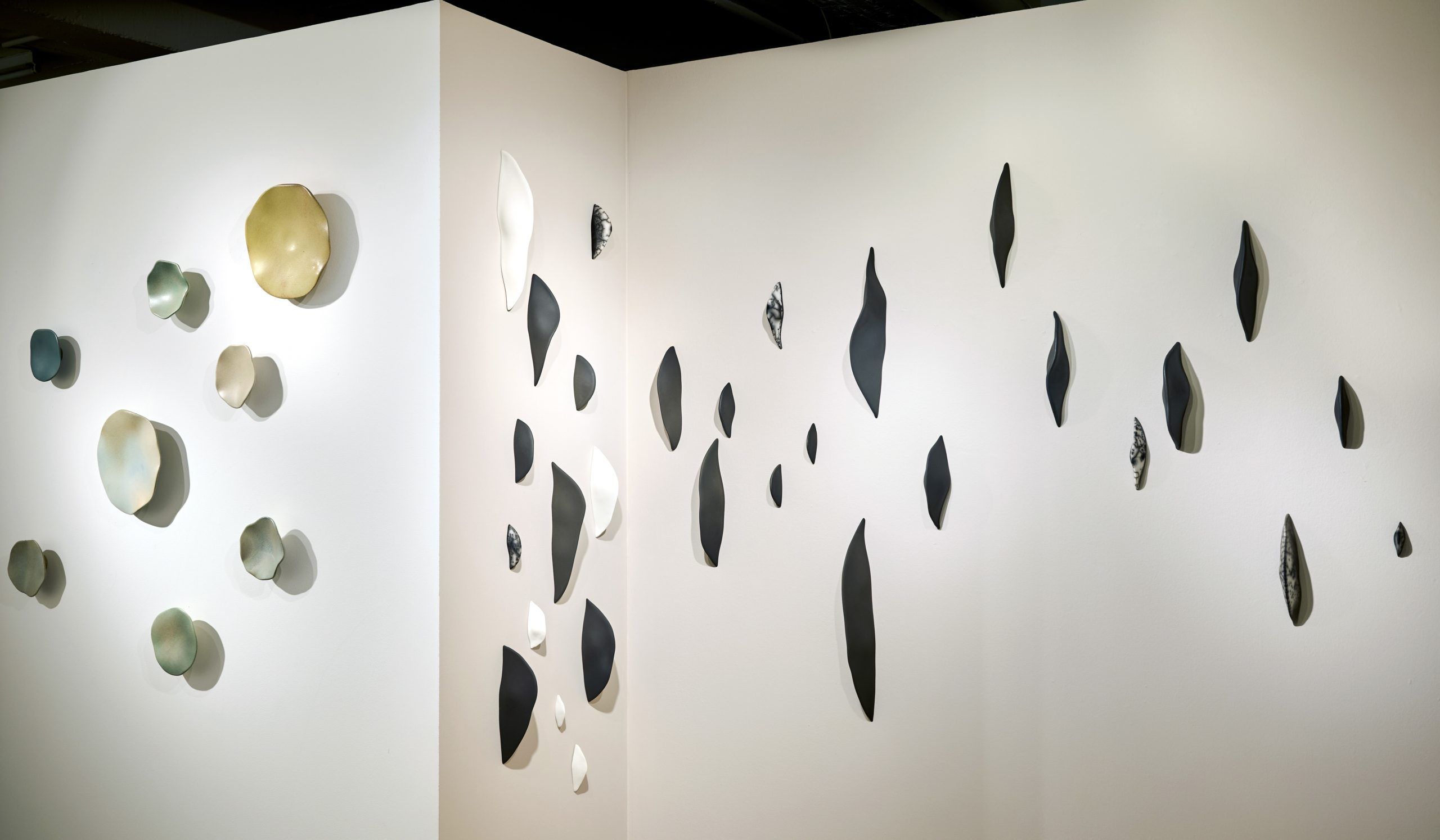cerámica contemporánea exhibition ammann gallery   © Abel Zavala Genesis Spores and Epiphytes Wall Sculptures