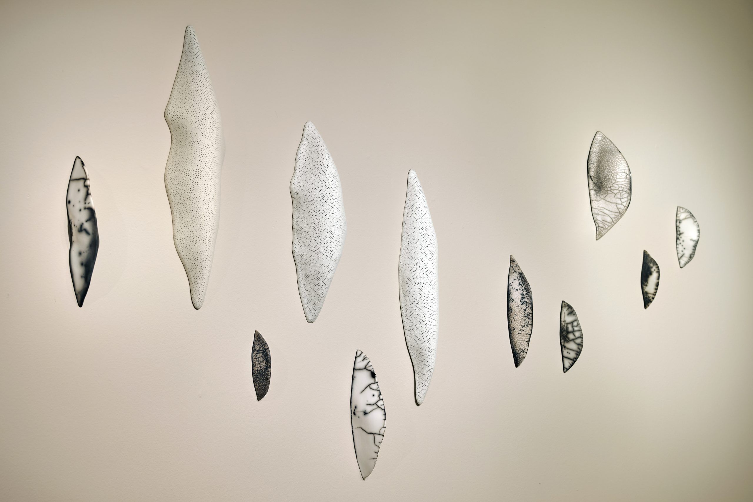 cerámica contemporánea exhibition ammann gallery © Abel Zavala White Larvae and Petrified Epiphytes  Wall Sculptures