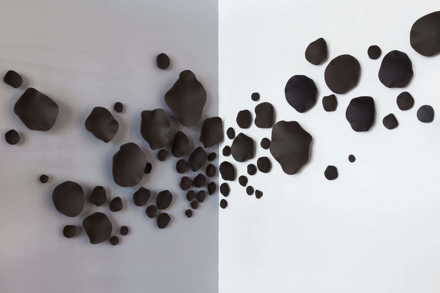 © Abel Zavala 'Genesis Black' ammann gallery