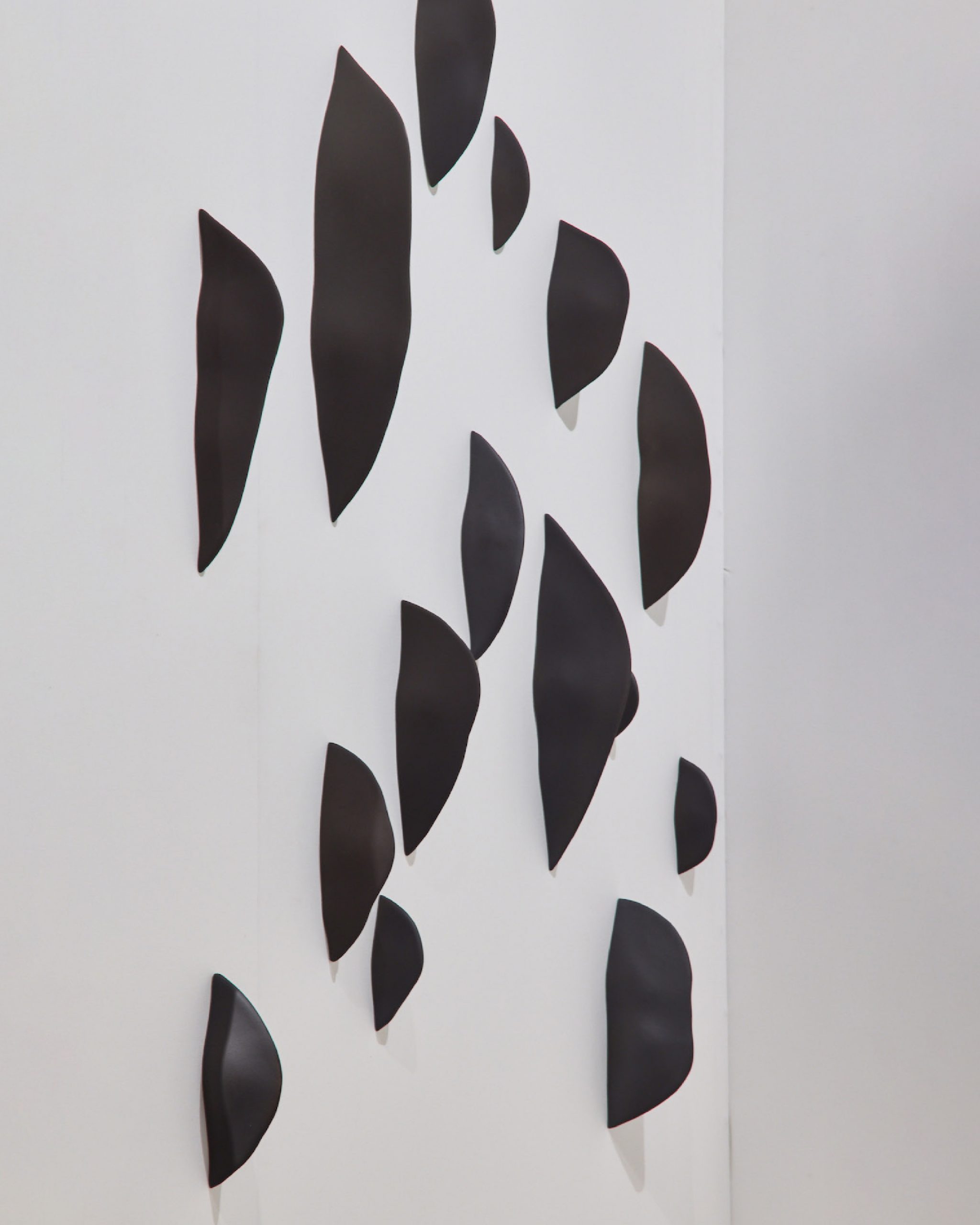 © Abel Zavala 'Black Epiphytes' ammann gallery