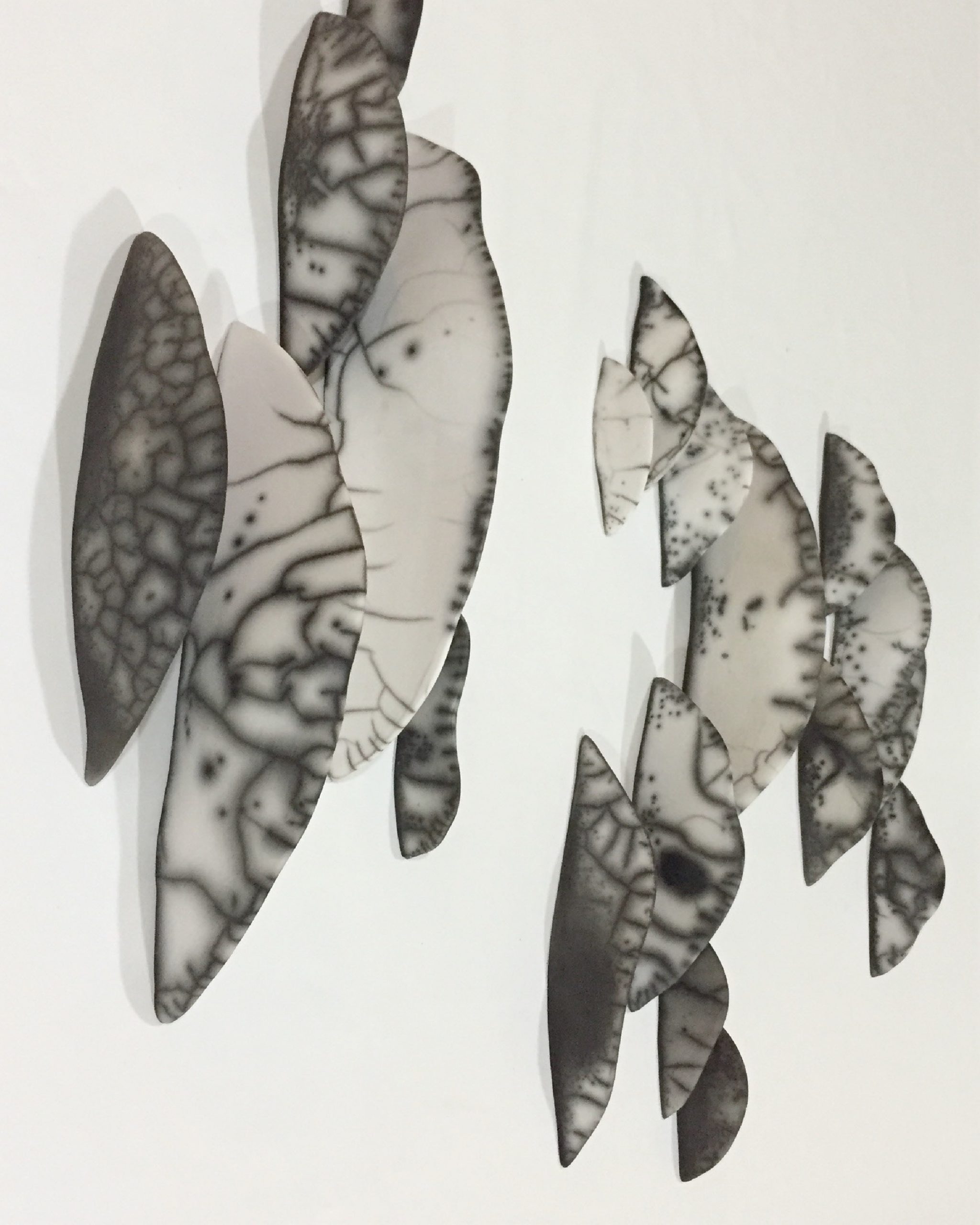 © Abel Zavala 'Petrified Epiphytes' ammann gallery