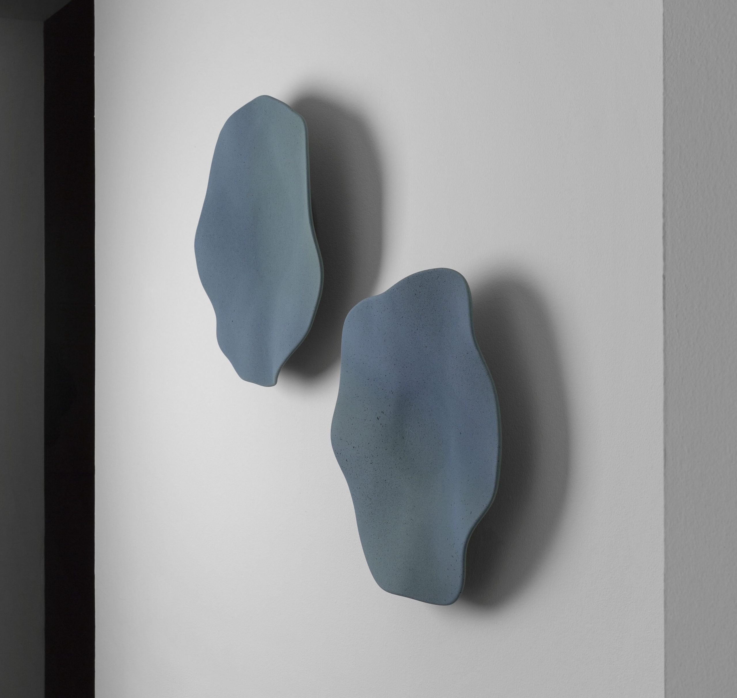 © Abel Zavala 'Genesis Spores' angulo0 ammanngallery