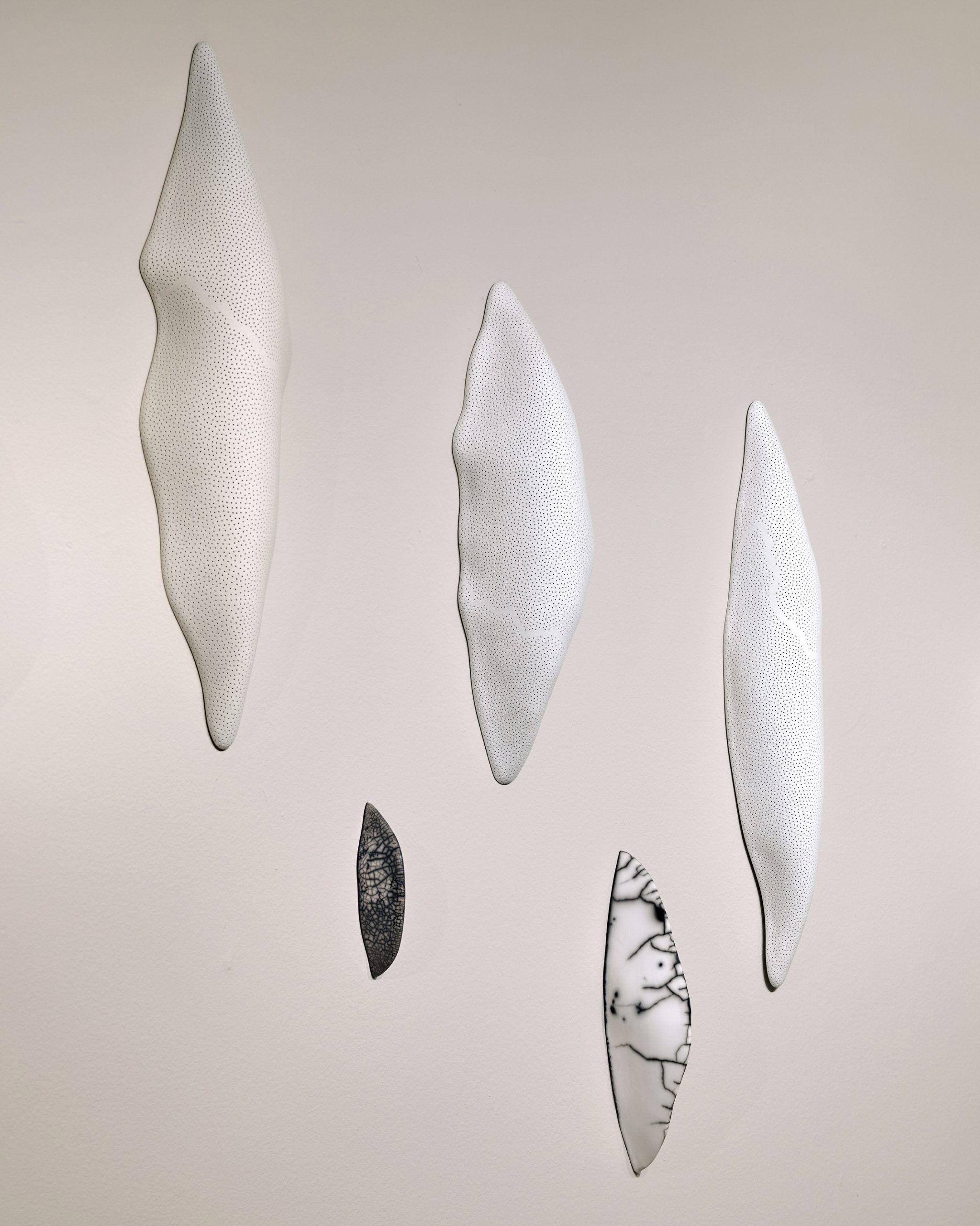 © Abel Zavala Larvae White Installation 2ammann gallery