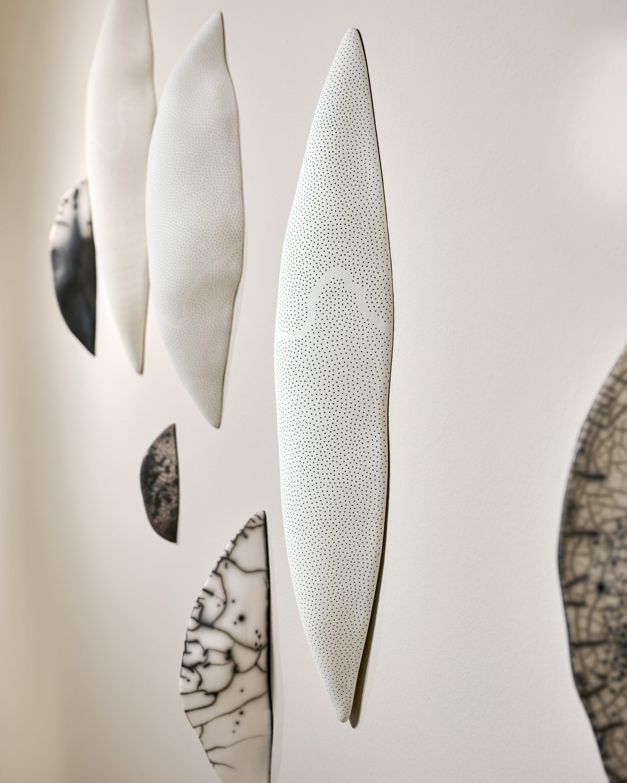 © Abel Zavala Larvae White Installation with Petrified Epiphytes ammann gallery