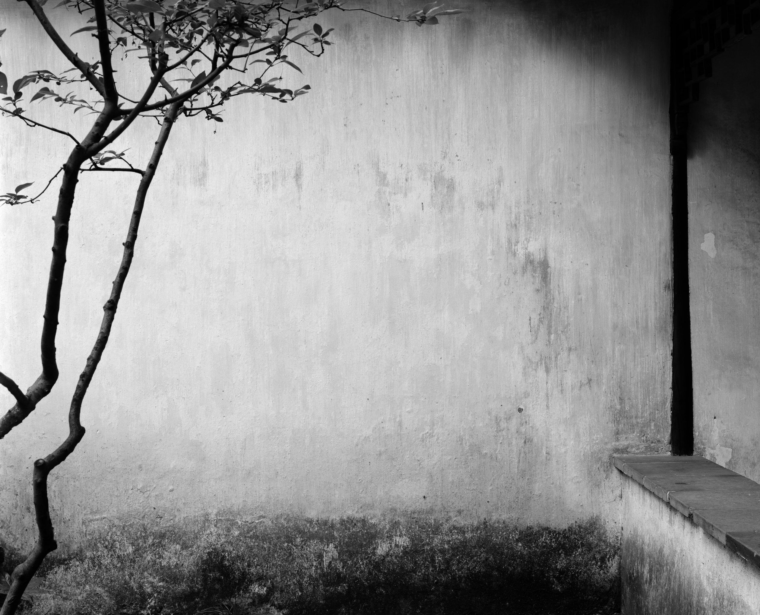 © Hélène Binet 'Suzhou Gardens 04' courtesy ammann//gallery