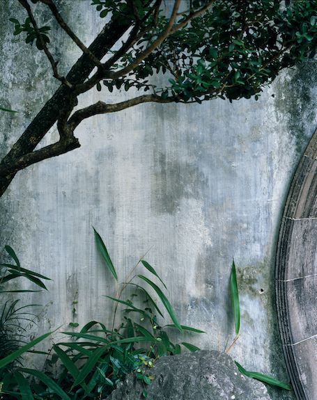 Hélène Binet Humble A Suzhou Gardens ammann//gallery