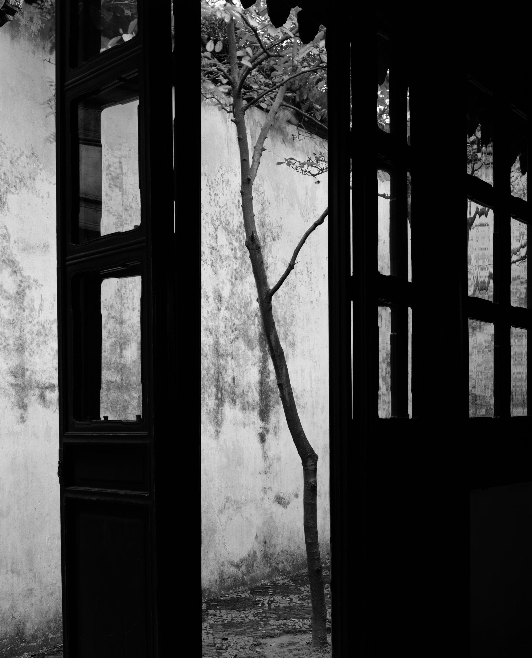 © Hélène Binet 'Suzhou Gardens 02' courtesy ammann//gallery
