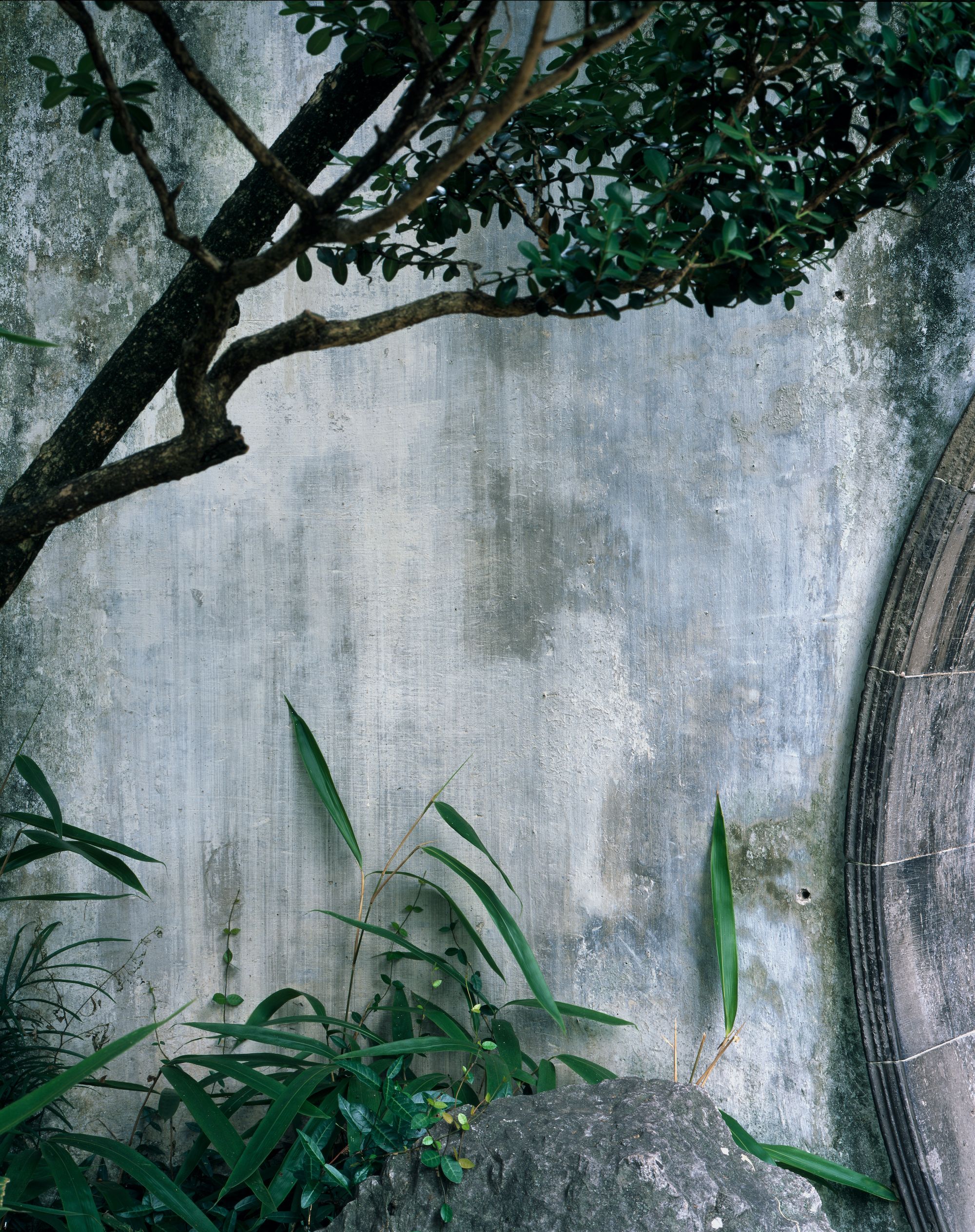 © Hélène Binet 'Humble A' Suzhou Gardens courtesy ammann//gallery
