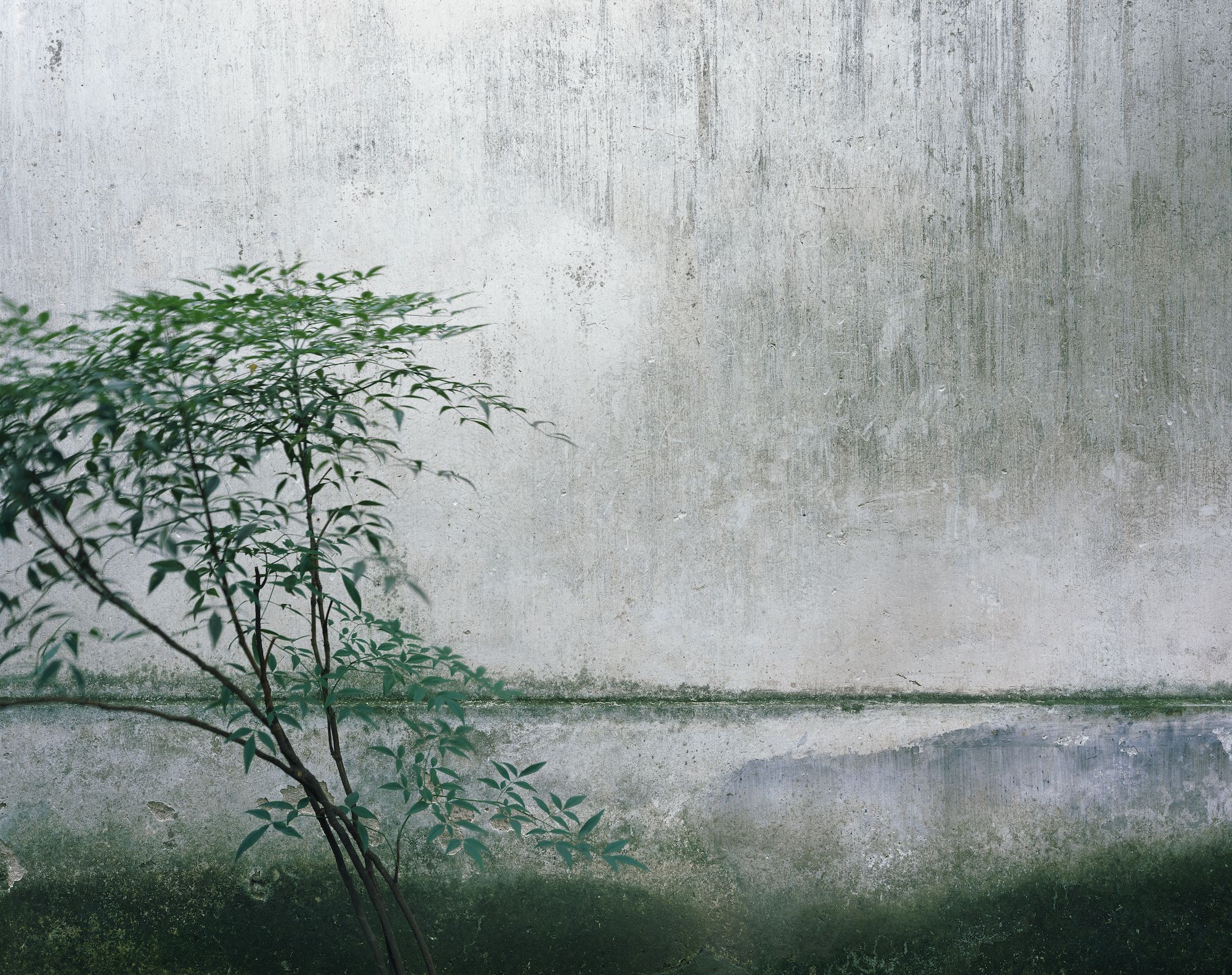 © Hélène Binet 'Lingering E (Suzhou Gardens)' courtesy ammann//gallery