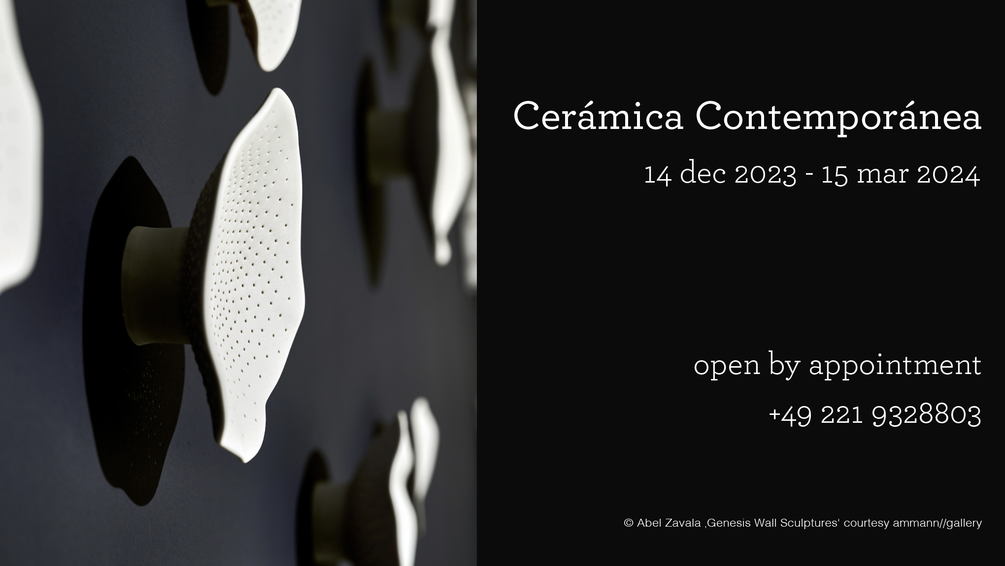 Ceramica Contemporanea Exhibition Abel Zavala Genesis Wall Sculptures ammann gallery