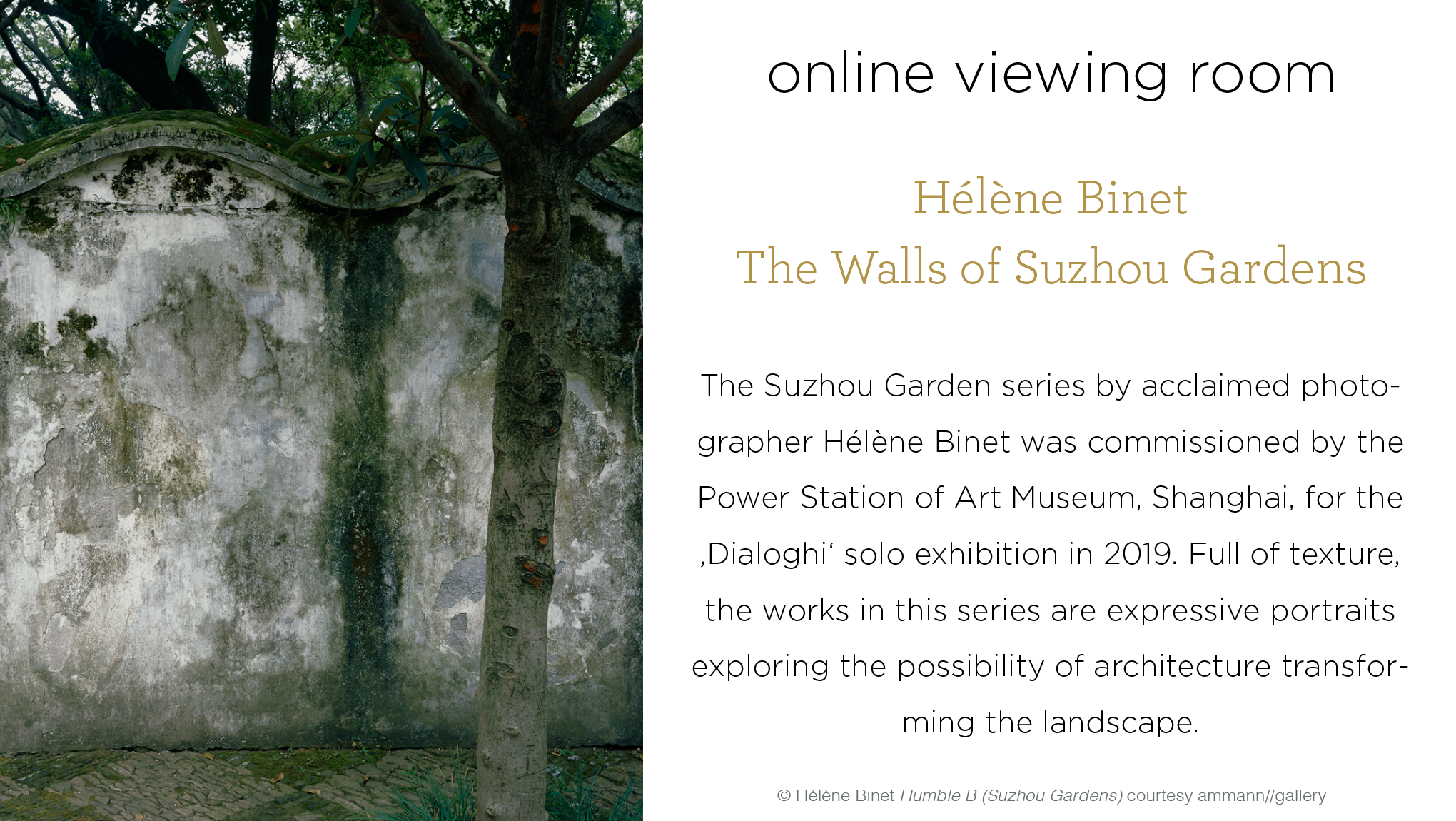 Viewing Room Artsy Helene Binet The Walls of Suzhou Gardens