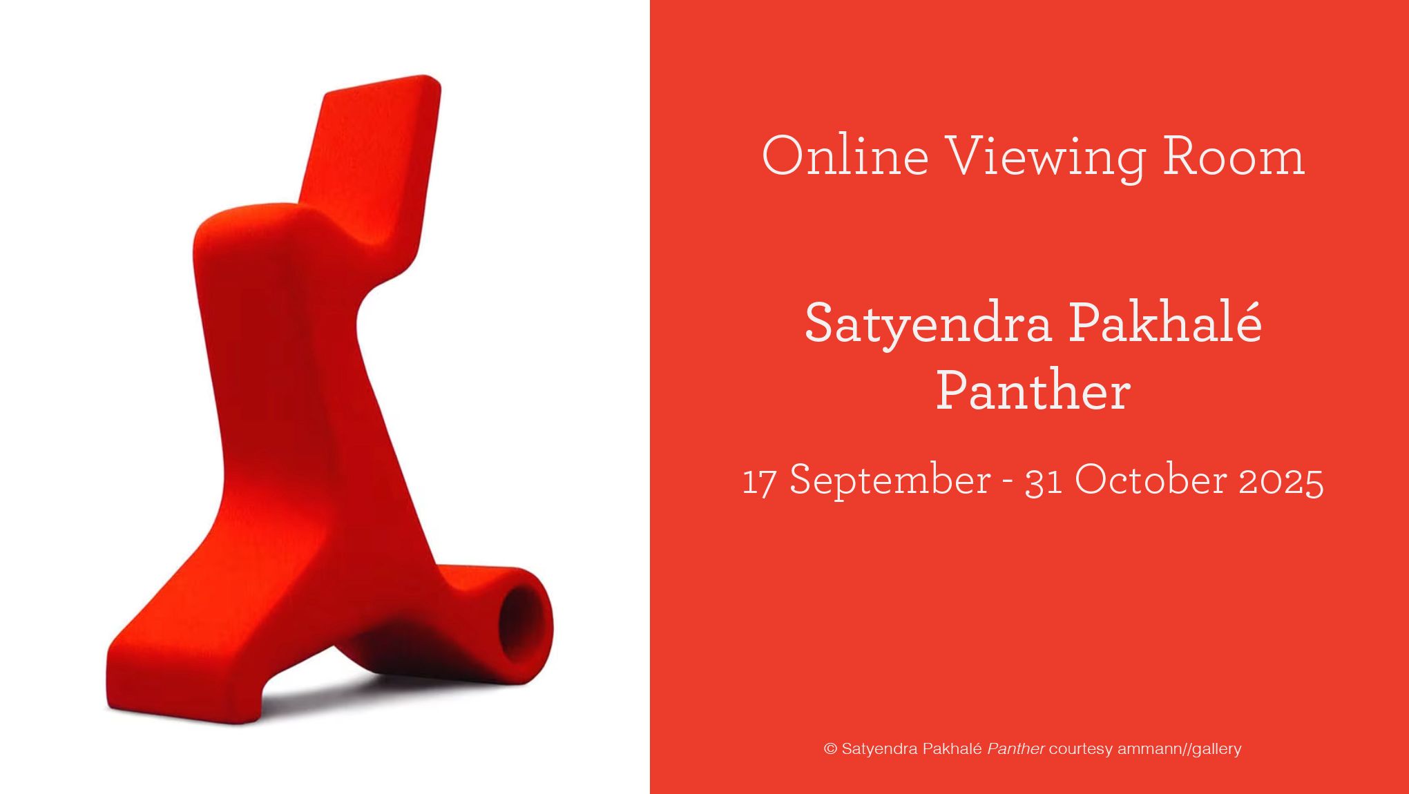 © Satyendra Pakhalé Panther courtesy ammann//gallery