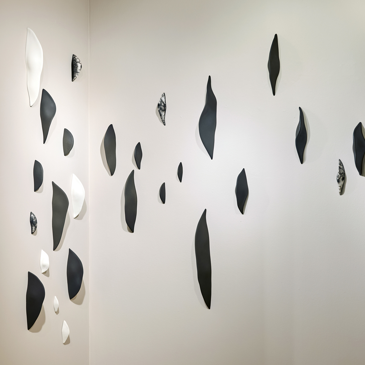 © Abel Zavala 'Epiphytes' courtesy ammann//gallery