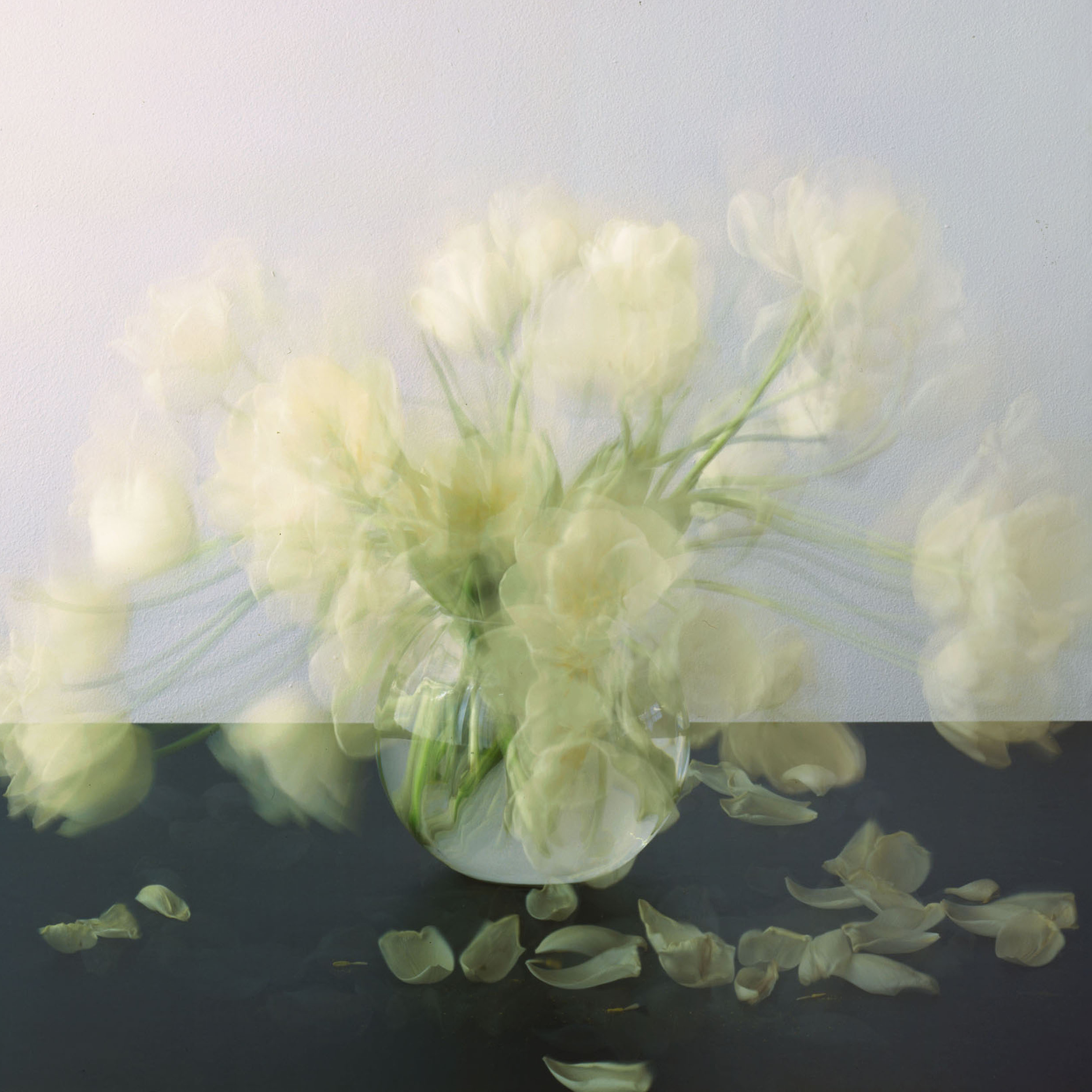 © Michael Wesely '7.4-14.4.2009 Stilleben' courtesy ammann//gallery