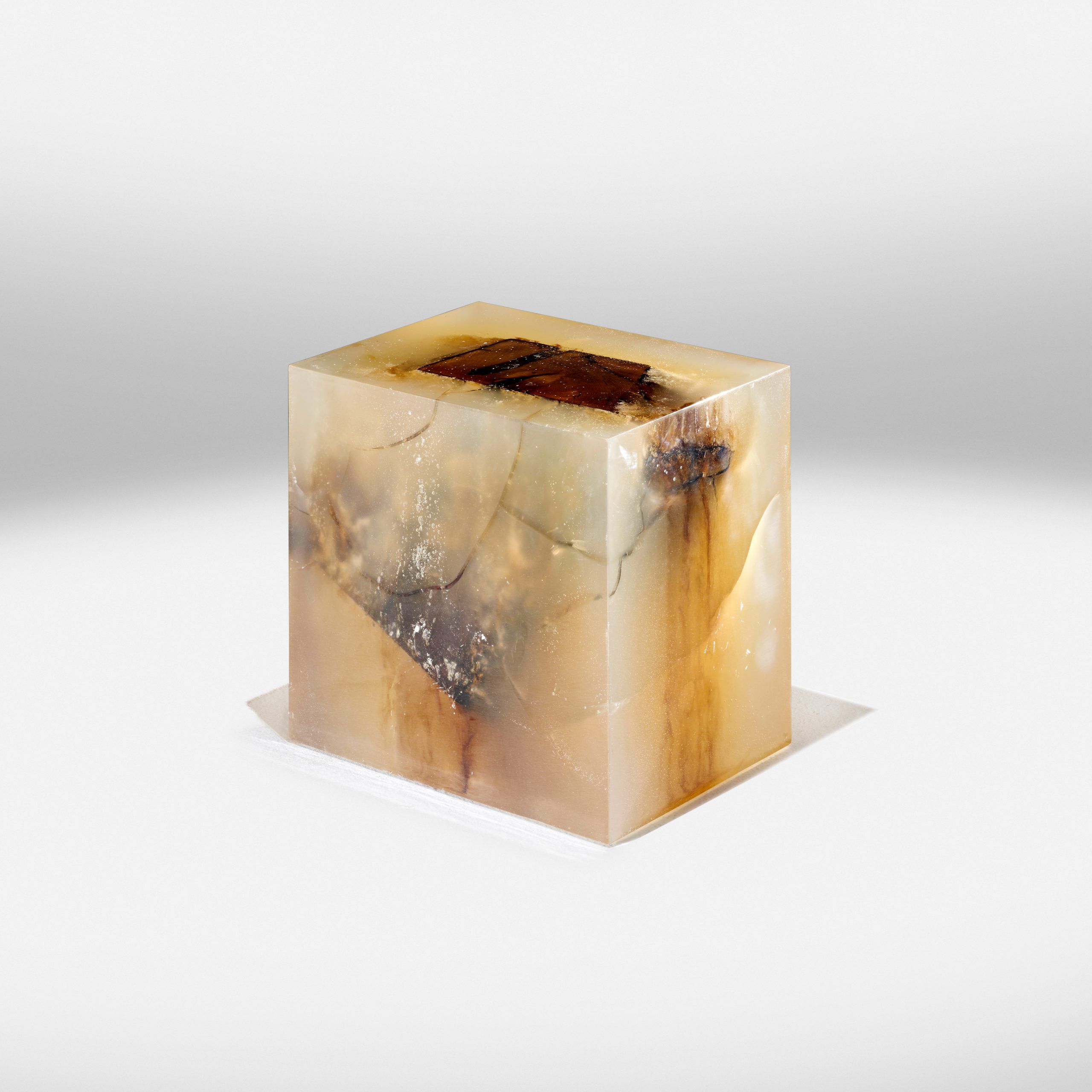 © Studio Nucleo 'Wood Fossil Solid' courtesy ammann//gallery