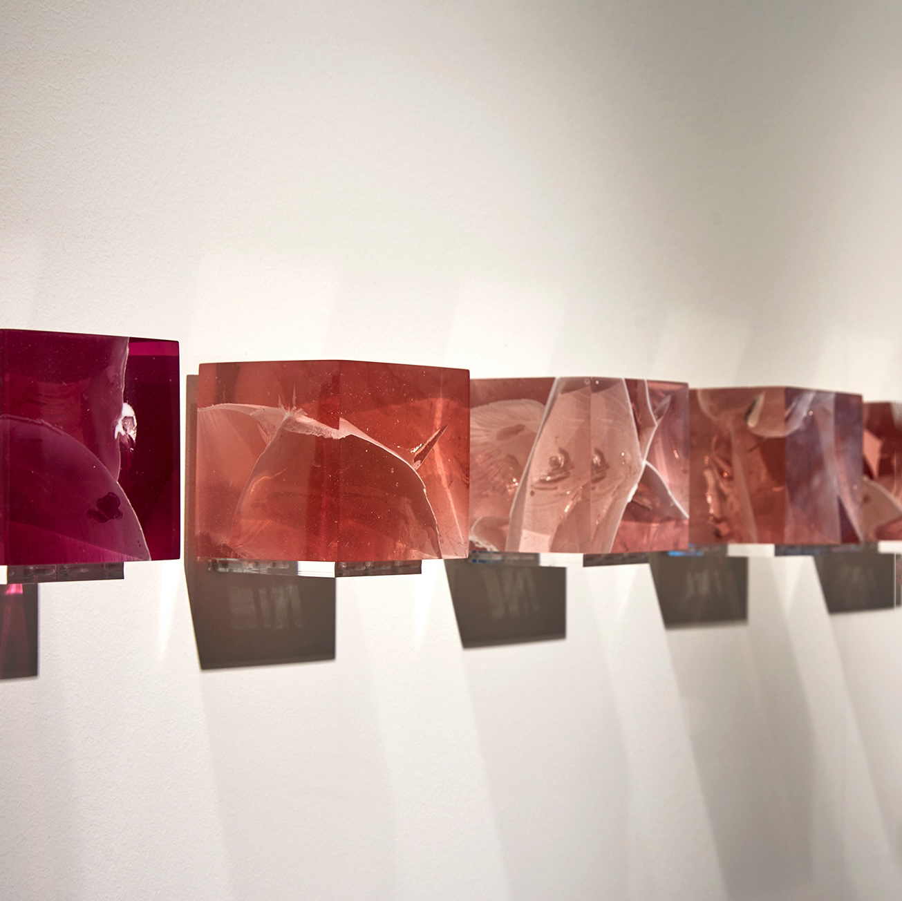 © Studio Nucleo Wunderkammer Pink courtesy ammann//gallery