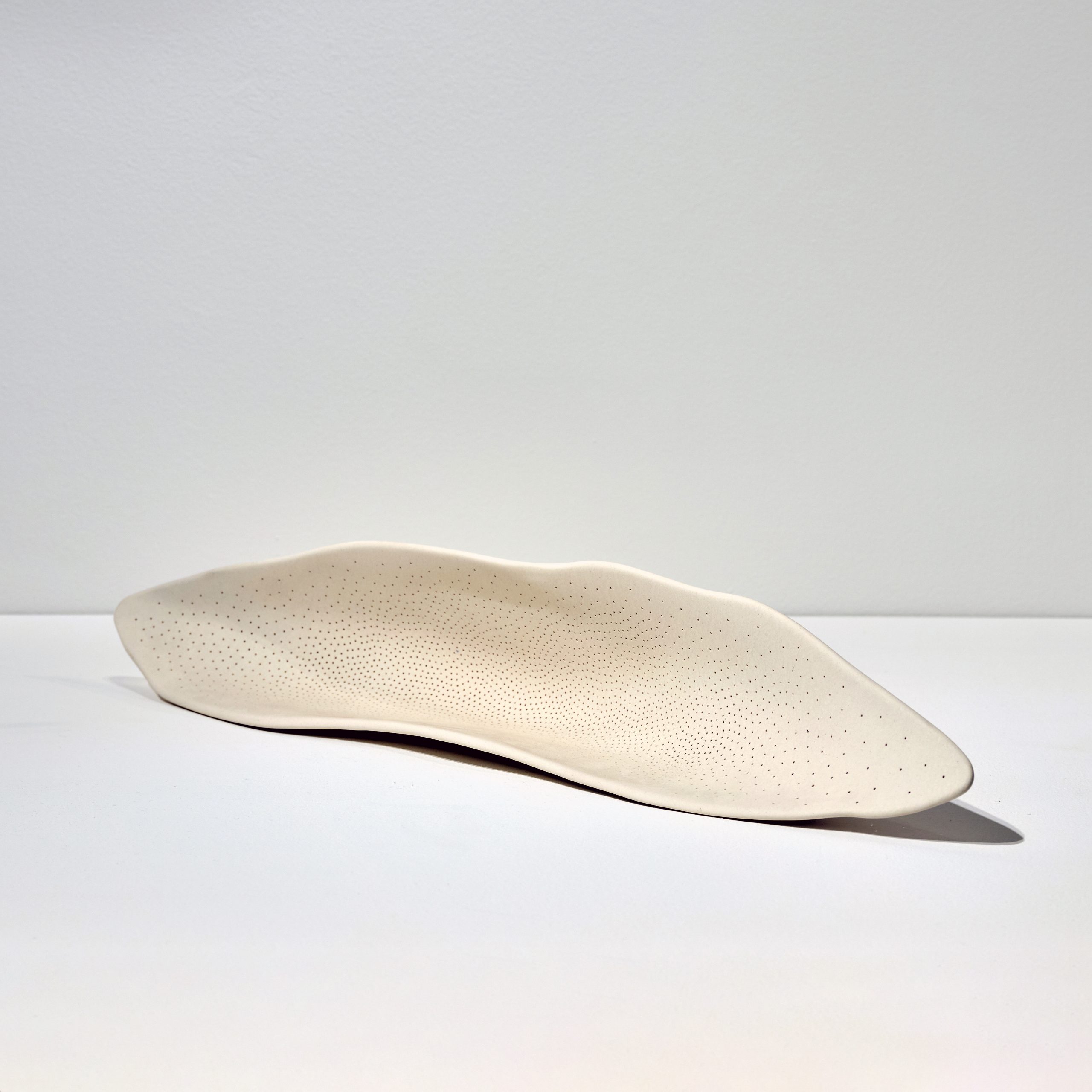 © Abel Zavala 'Open Larvae White' courtesy ammann//gallery