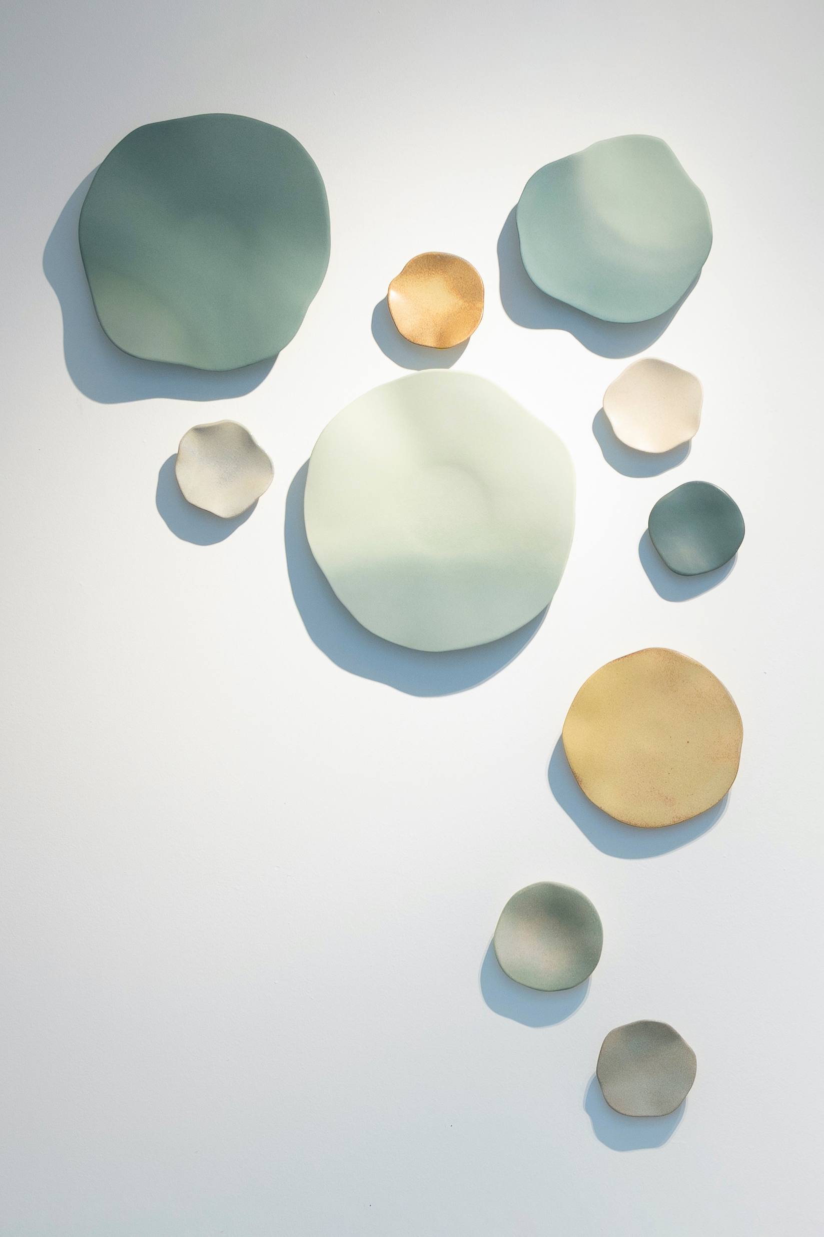 © Abel Zavala 'Spores Wall Sculptures' courtesy ammann//gallery