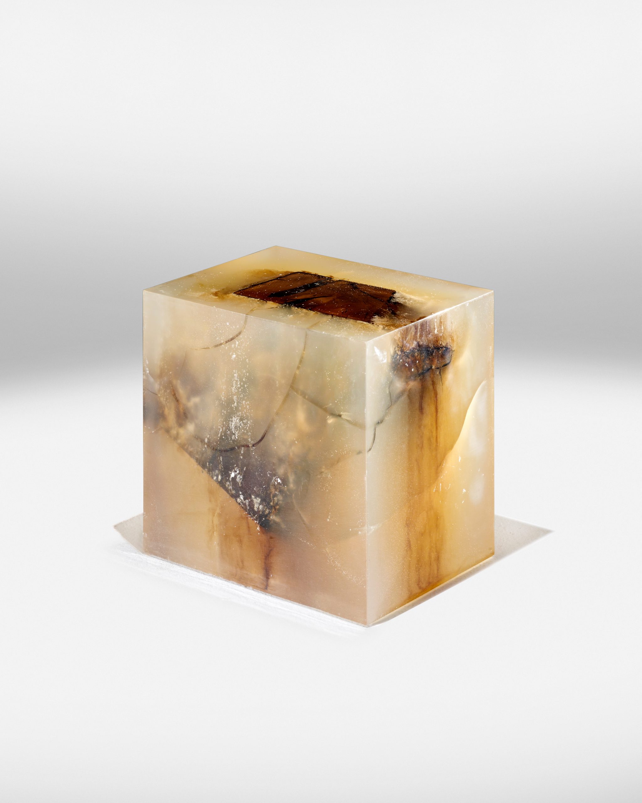 © Studio Nucleo Wood Fossil Solid courtesy ammann//gallery