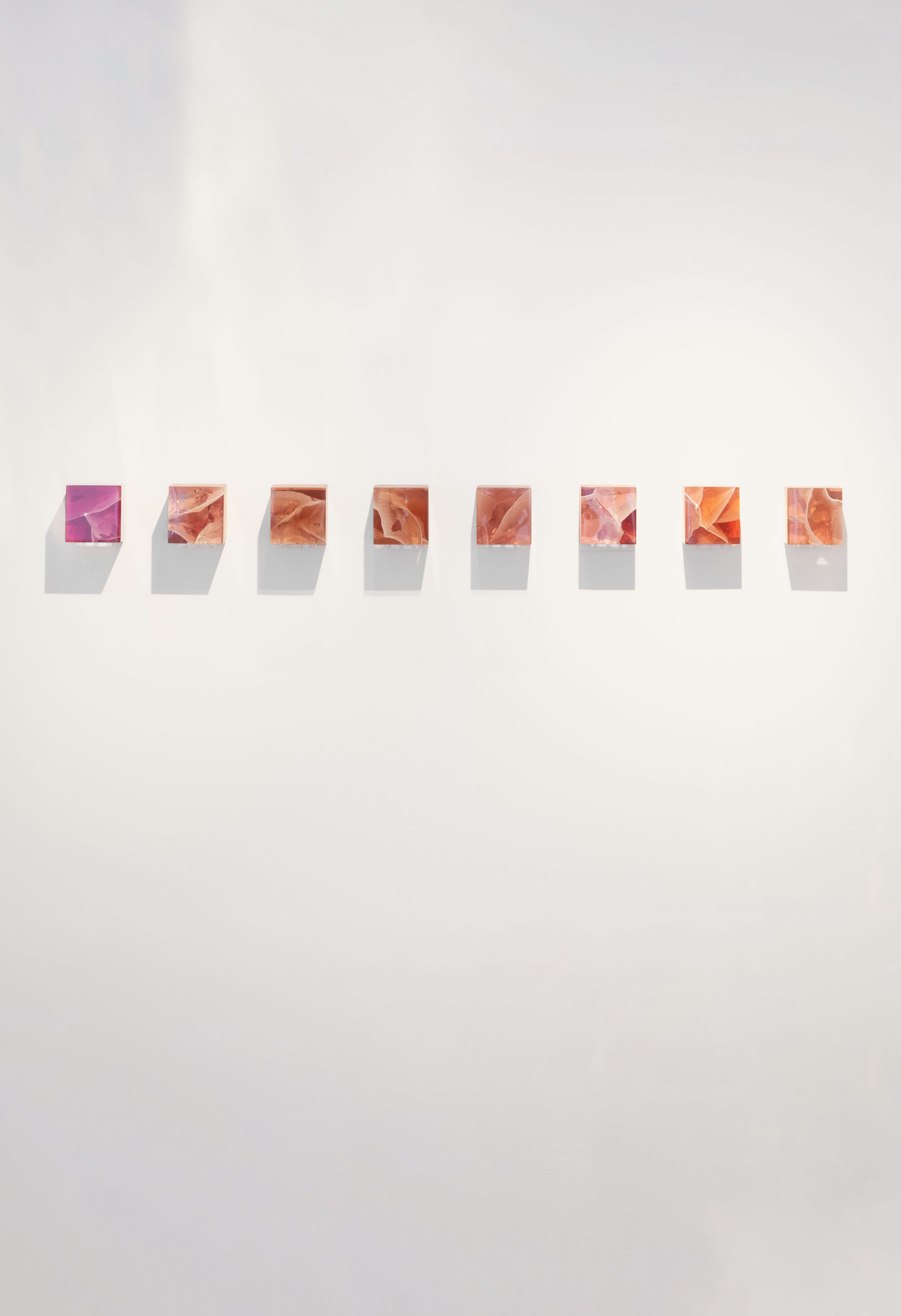 © Studio Nucleo Wunderkammer Pink courtesy ammann//gallery