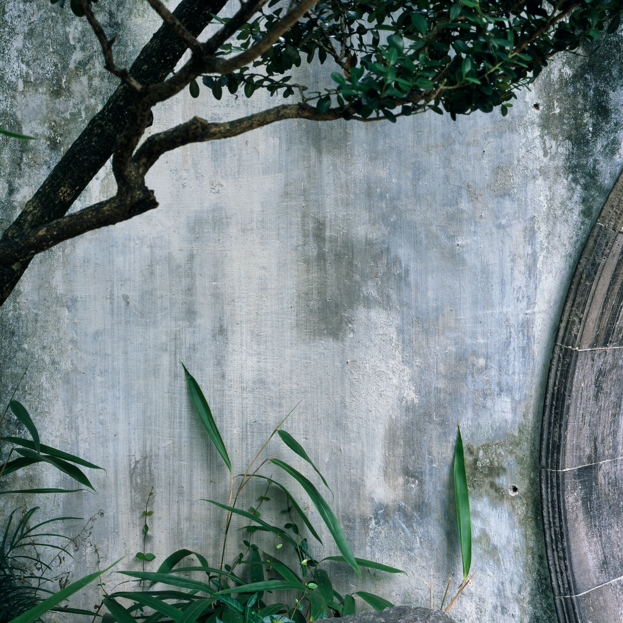 © Hélène Binet 'Humble A - Suzhou Gardens' courtesy ammann//gallery