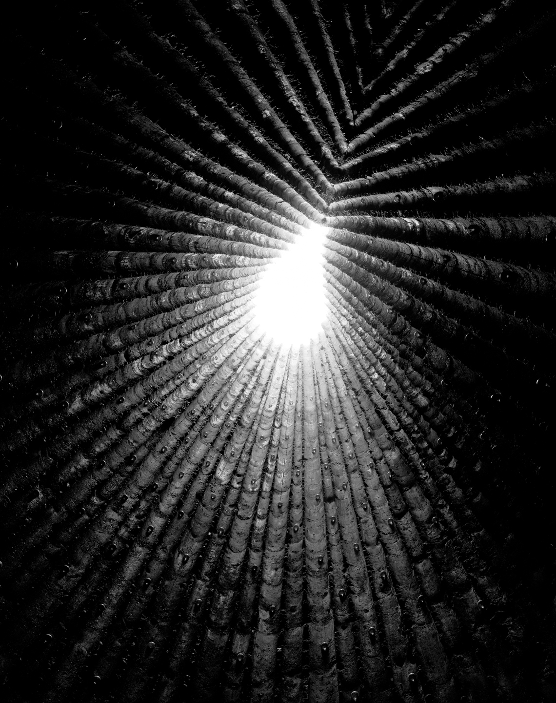 © Hélène Binet 'Feldkapelle für den heiligen Bruder Klaus 03' (Architecture by Peter Zumthor) courtesy ammann//gallery