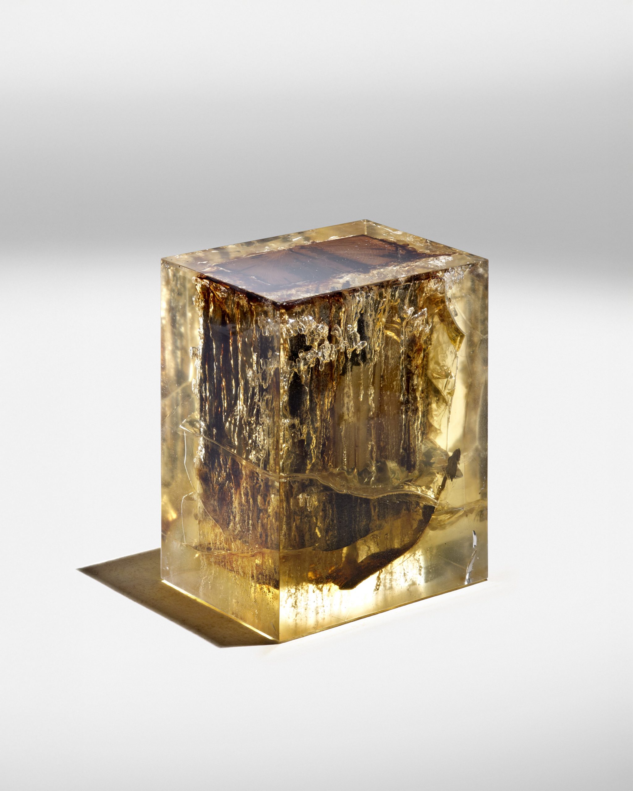 © Studio Nucleo Wood Fossil AP courtesy ammann//gallery