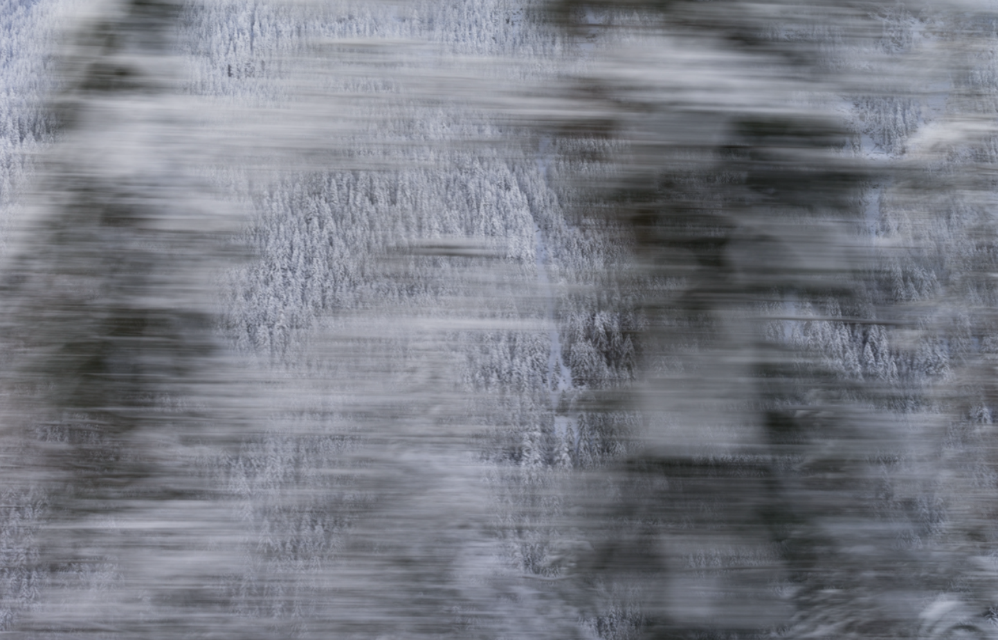 © Rolf Sachs '01.12.2012 - 16:16:49' Camera in Motion courtesy ammann//gallery