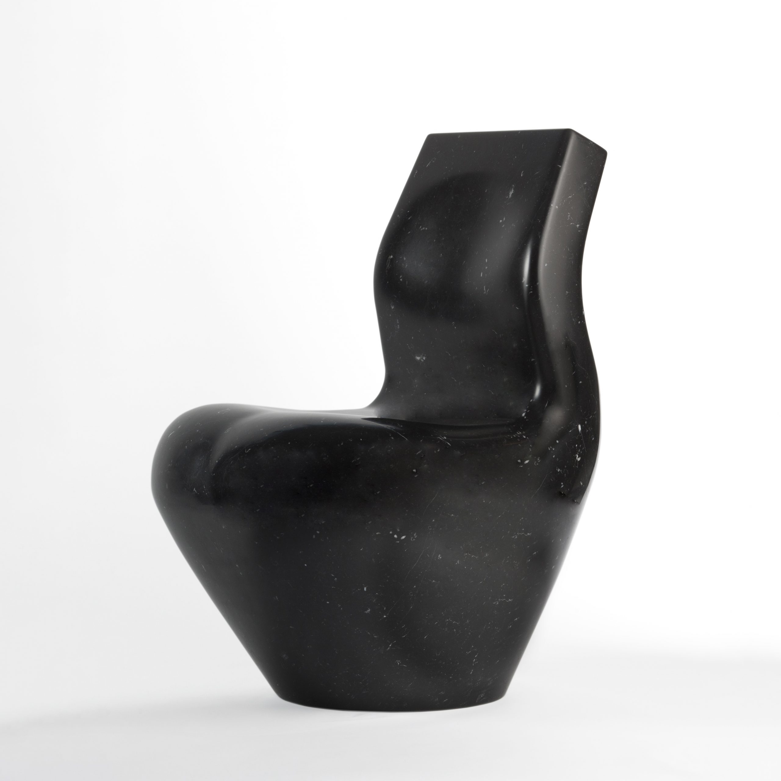 © Satyendra Pakhale 'Black Swan' courtesy ammann//gallery