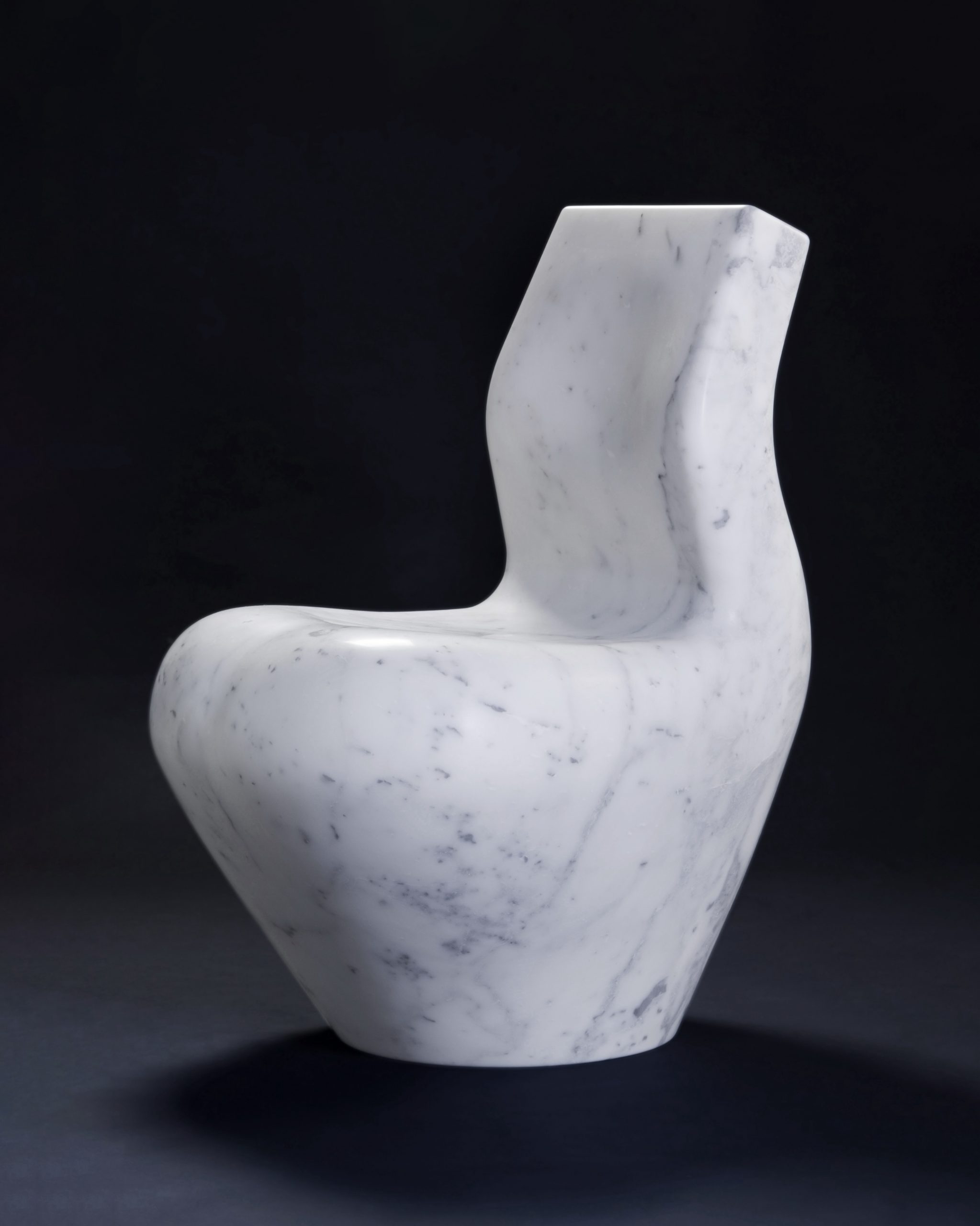 © Satyendra Pakhale 'White Swan' courtesy ammann//gallery