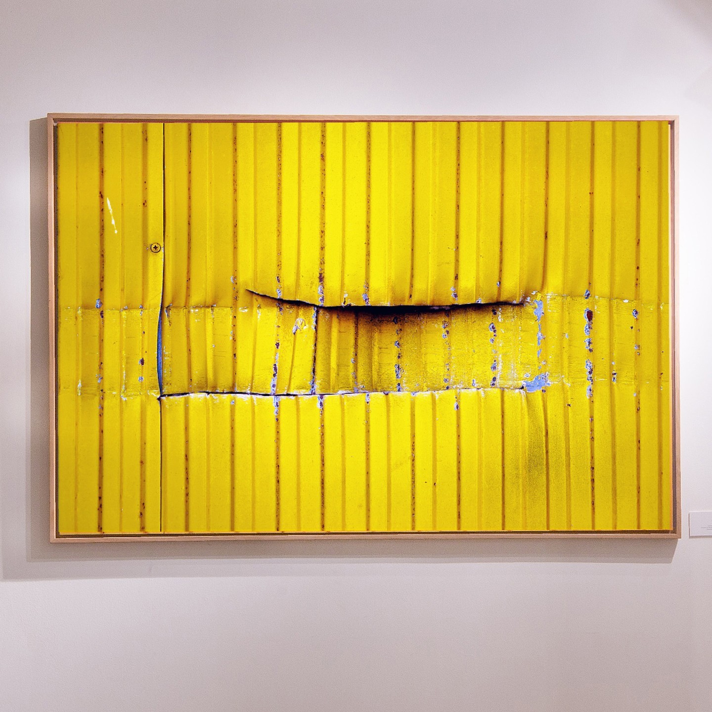 © Florian Borkenhagen 'Lucio' courtesy ammann//gallery