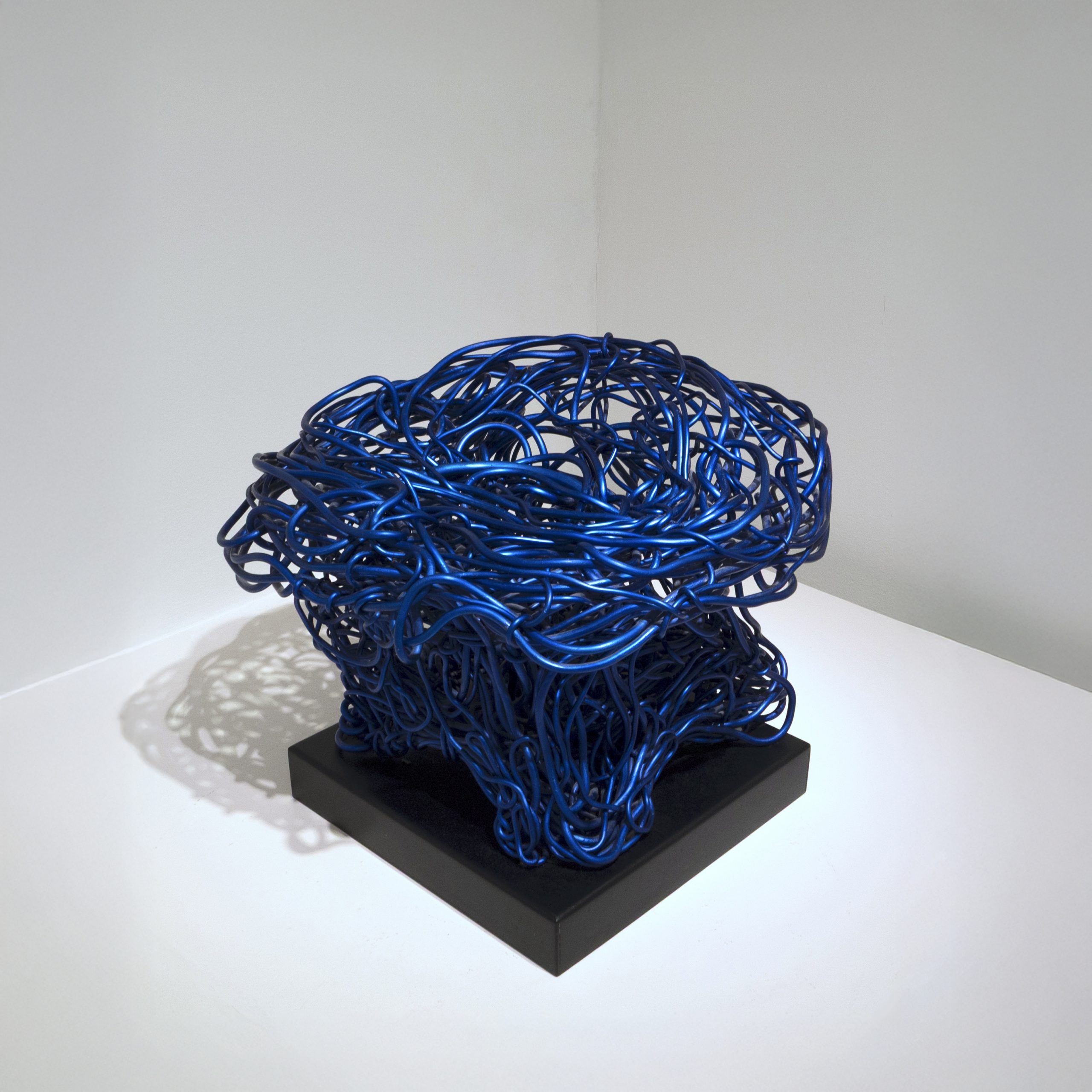 © Satyendra Pakhale 'White Swan' courtesy ammann//gallery