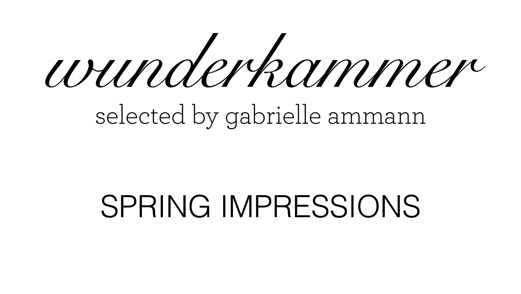 Wunderkammer selected by gabrielle ammann_ reflection and refraction