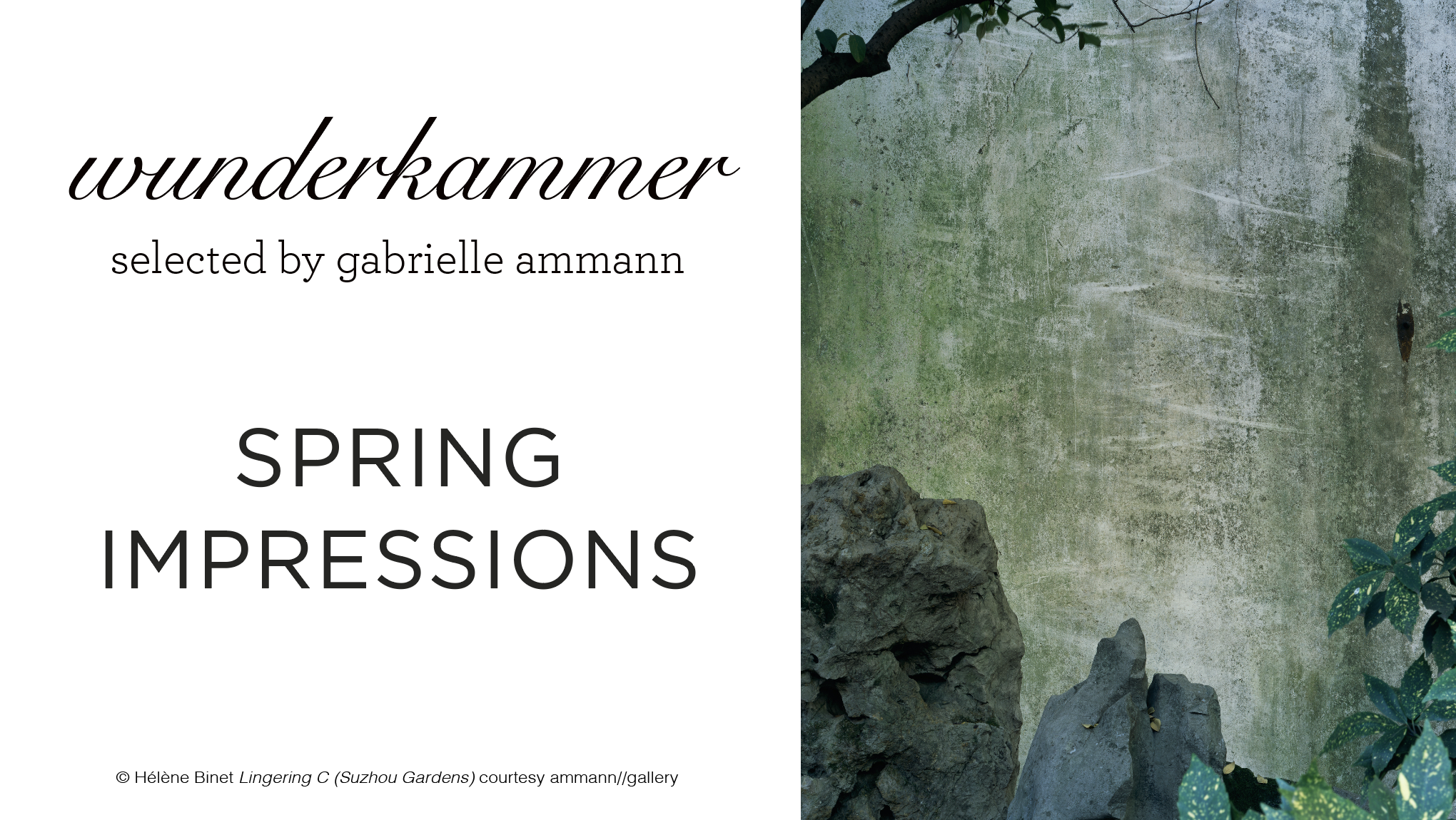 © Hélène Binet 'Lingering C' (Suzhou Gardens) courtesy ammann//gallery