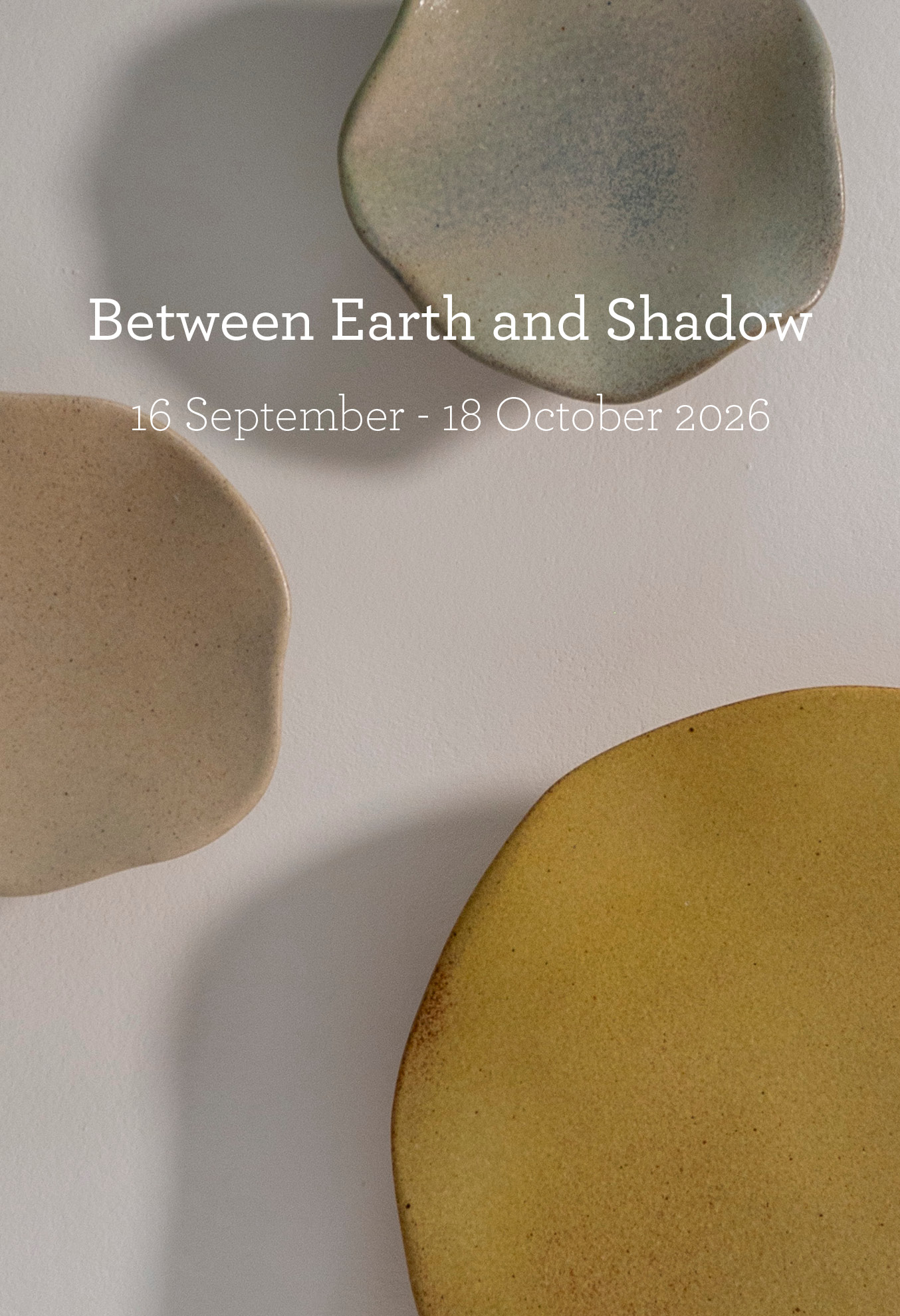 Viewing Room NEW © Abel Zavala 'Spores' Detail courtesy ammann//gallery