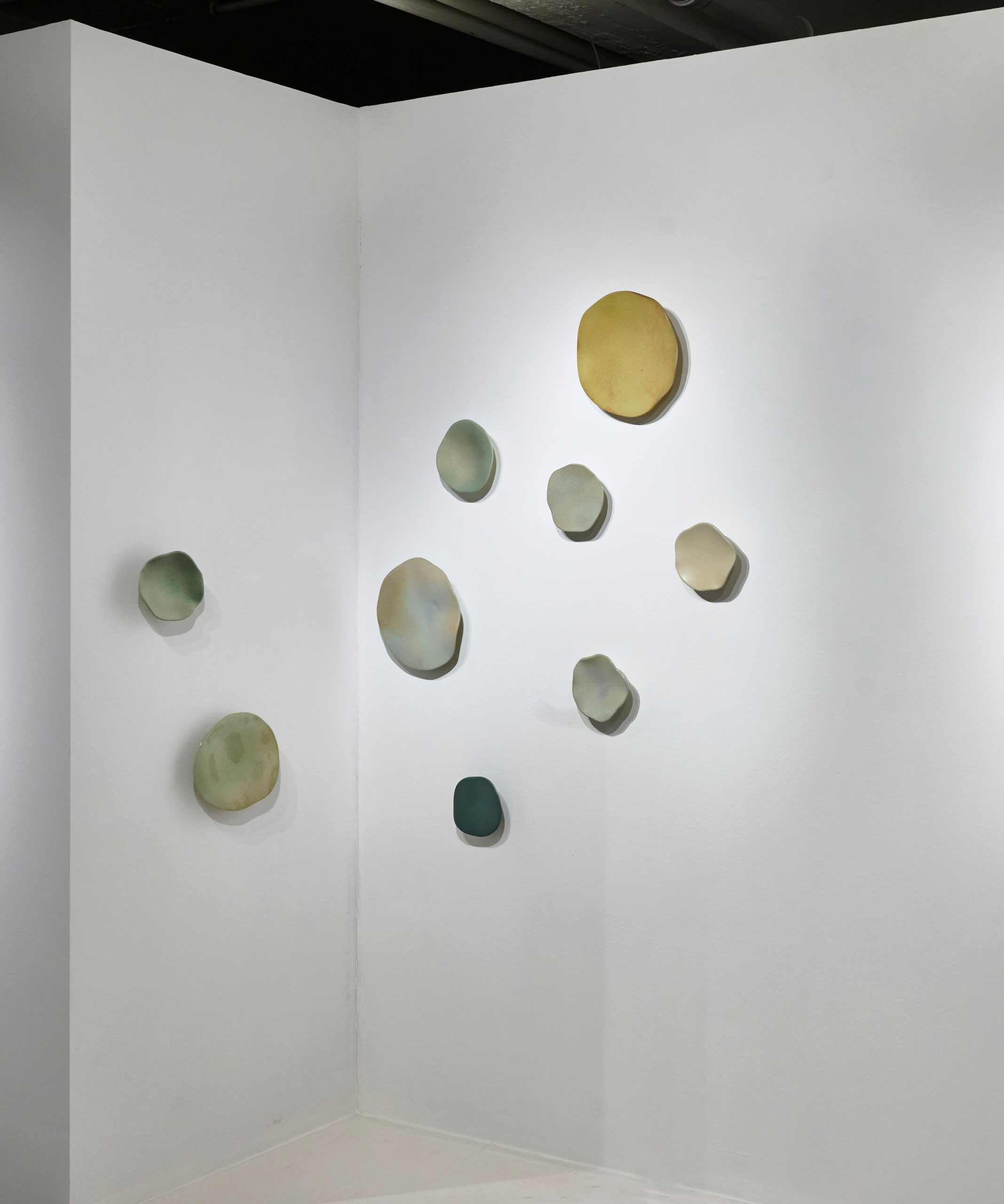 © Abel Zavala 'Spores Wall Sculptures' courtesy ammann//gallery