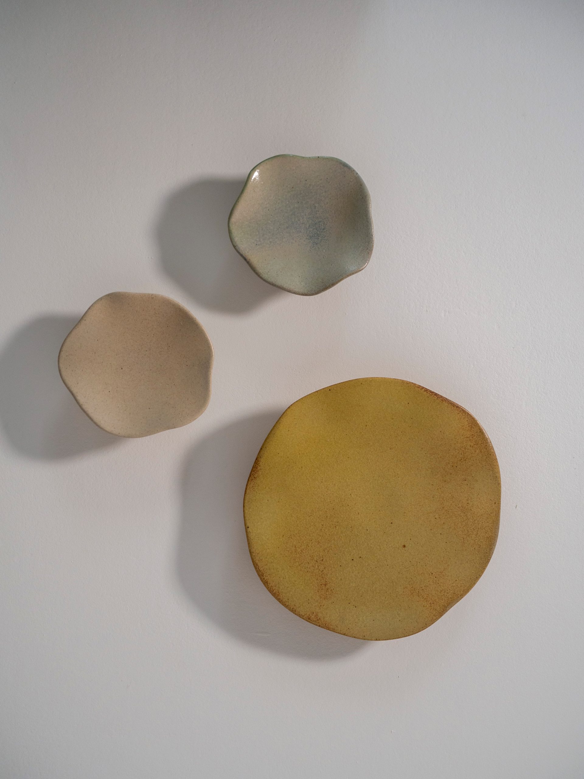 © Abel Zavala 'Spores Wall Sculptures' courtesy ammann//gallery