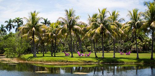 © ‘Design at Fairchild’ – Fish Chair Limited Edition, design Satyendra Pakhalé for Cappellini, Italy